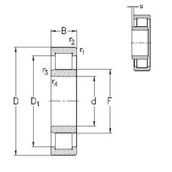 Rolando NU2316-E-MPA NKE