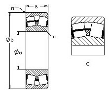 Rolando 22313C AST