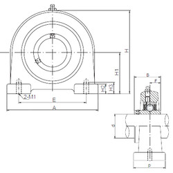 roulements UCPA209 ISO