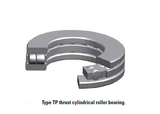 TP  cylindrical roller bearing 50TP119