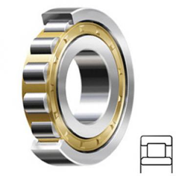 SCHAEFFLER GROUP USA INC NU2212-E-M1A-C4 Rolamentos de rolos cilíndricos