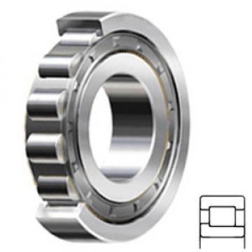 SKF NJ 321 ECJ/C3 Rolamentos de rolos cilíndricos