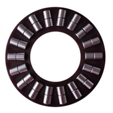 SCHAEFFLER GROUP USA INC K89410-TV Thrust Roller Bearing