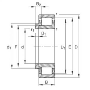 FAG محامل أسطوانية - NJ228-E-XL-M1 + HJ228-E