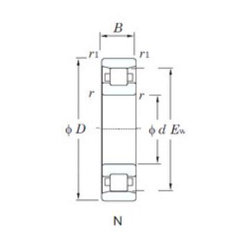 المحامل N204 KOYO