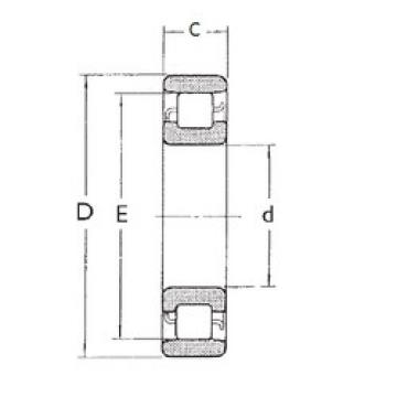 المحامل N204 FBJ