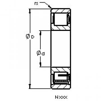 المحامل N309 AST