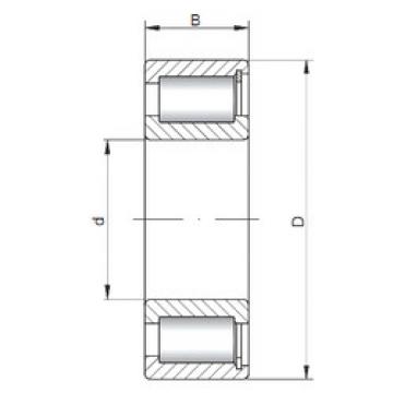 Bantalan NCF1840 V CX