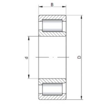 cylindrical bearing nomenclature SL192312 ISO