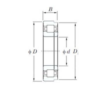 Rodamiento NUP2212R KOYO