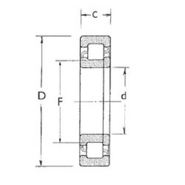 Rodamiento NUP2215 FBJ