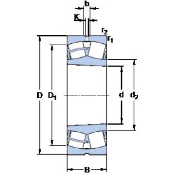 roulements 23120 CCK/W33 SKF