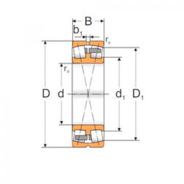 roulements 22313 ACMBW33 MPZ