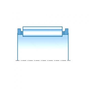 needle roller thrust bearing catalog K25X30X19.8 NTN