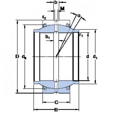 المحامل GEZM 100 ES-2LS SKF