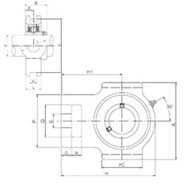 Bantalan UCT305 ISO