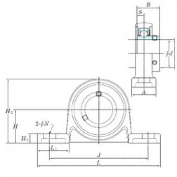 Rolando USP005S6 KOYO