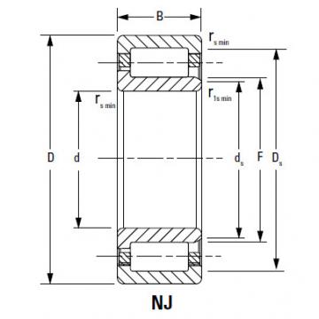 CYLINDRICAL BEARINGS ONE-ROW METRIC ISO SERIES NJ1044MA