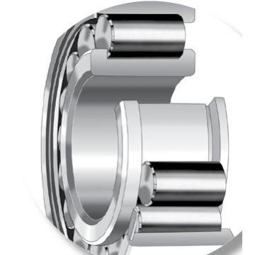 CYLINDRICAL BEARINGS ONE-ROW METRIC ISO SERIES NJ248EMA