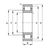 FAG محامل أسطوانية - N228-E-XL-M1