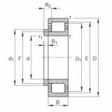 FAG محامل أسطوانية - NJ228-E-XL-M1 + HJ228-E