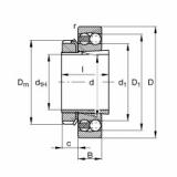 Rolamentos 2320-K-M-C3 + H2320 FAG