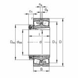 Rolando 239/560-B-K-MB + H39/560-HG FAG