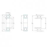 roulements 619/6 SKF