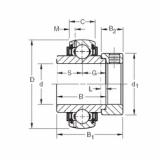 Rolamentos GN102KLLB Timken