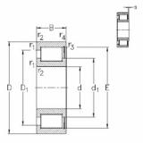 Bantalan NCF18/750-V NKE