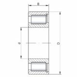 Bantalan NCF1848 V CX