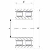 Bantalan NN4872 ISO