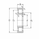 المحامل NUP2320-E-MPA NKE