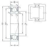 Rodamiento VEB 10 /S/NS 7CE3 SNFA