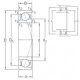 Rodamiento VEB 10 /NS 7CE1 SNFA