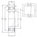 Bantalan VEX 25 /S/NS 7CE1 SNFA