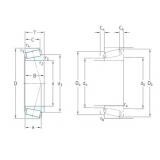 Rodamiento T2EE040/QVB134 SKF