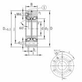 Rolando ZKLF3080-2RS-PE INA