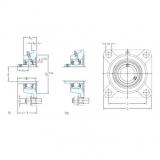 roulements FY 1.1/4 FM SKF