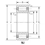 CYLINDRICAL BEARINGS ONE-ROW METRIC ISO SERIES NJ1044MA