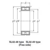 SL Type Cylindrical Roller Bearings NTN SL01-4936