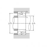 Spherical Roller Bearings JAPAN 230/1120BK