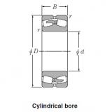 Spherical Roller Bearings JAPAN 23244B