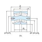 Roll Bearings for Mills NSK 3PL100-1A